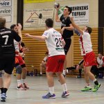 20161119 H2 Spaden